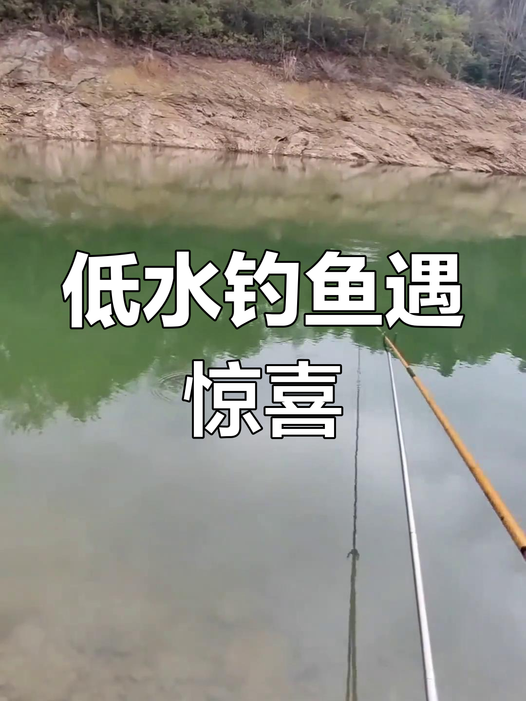千岛湖野钓大鲫鱼,低水位下的意外收获