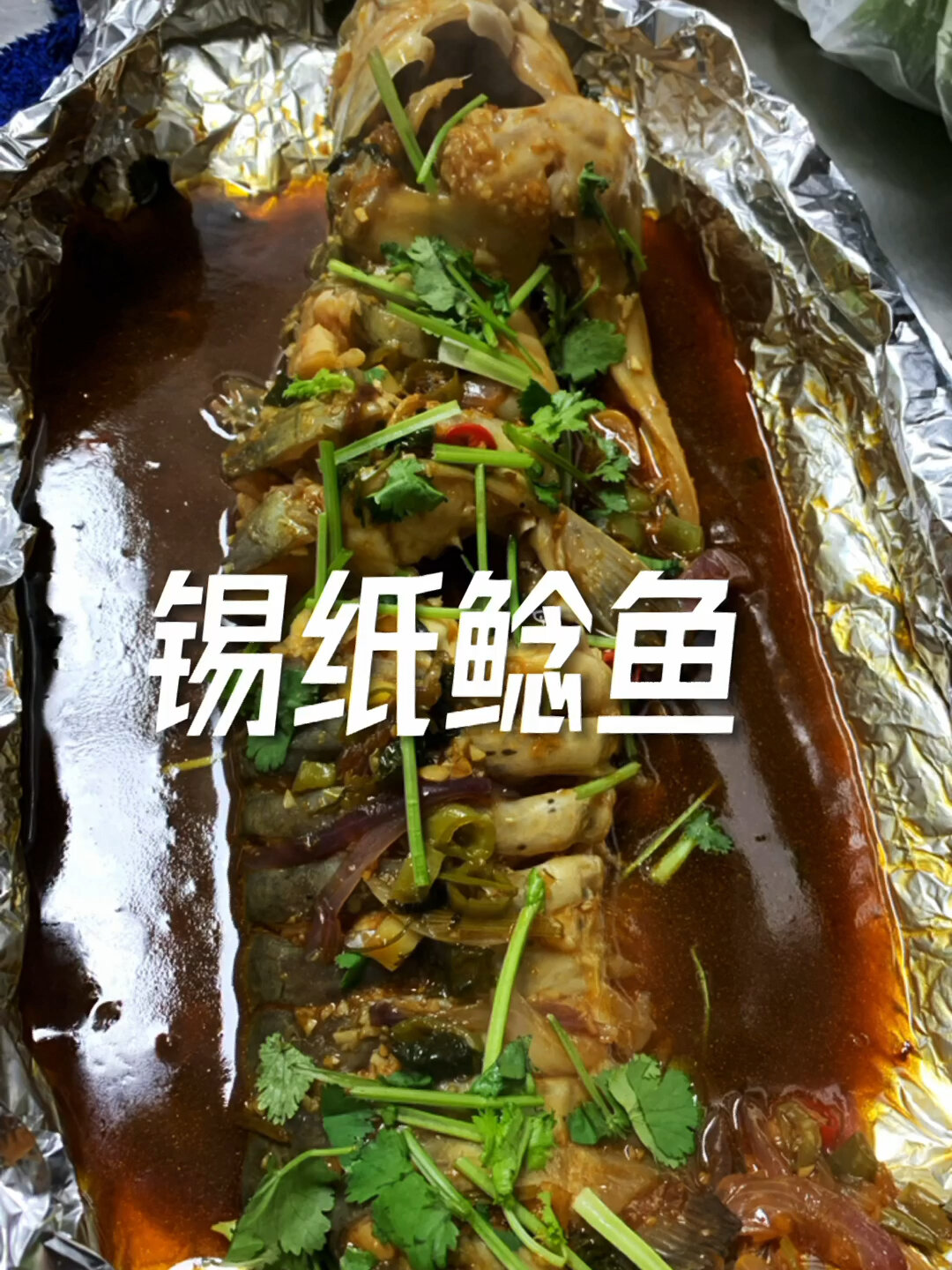 锡纸鲶鱼