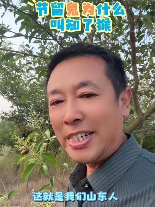 山东人夏天最爱捉的知了猴，为何又叫唐僧肉？