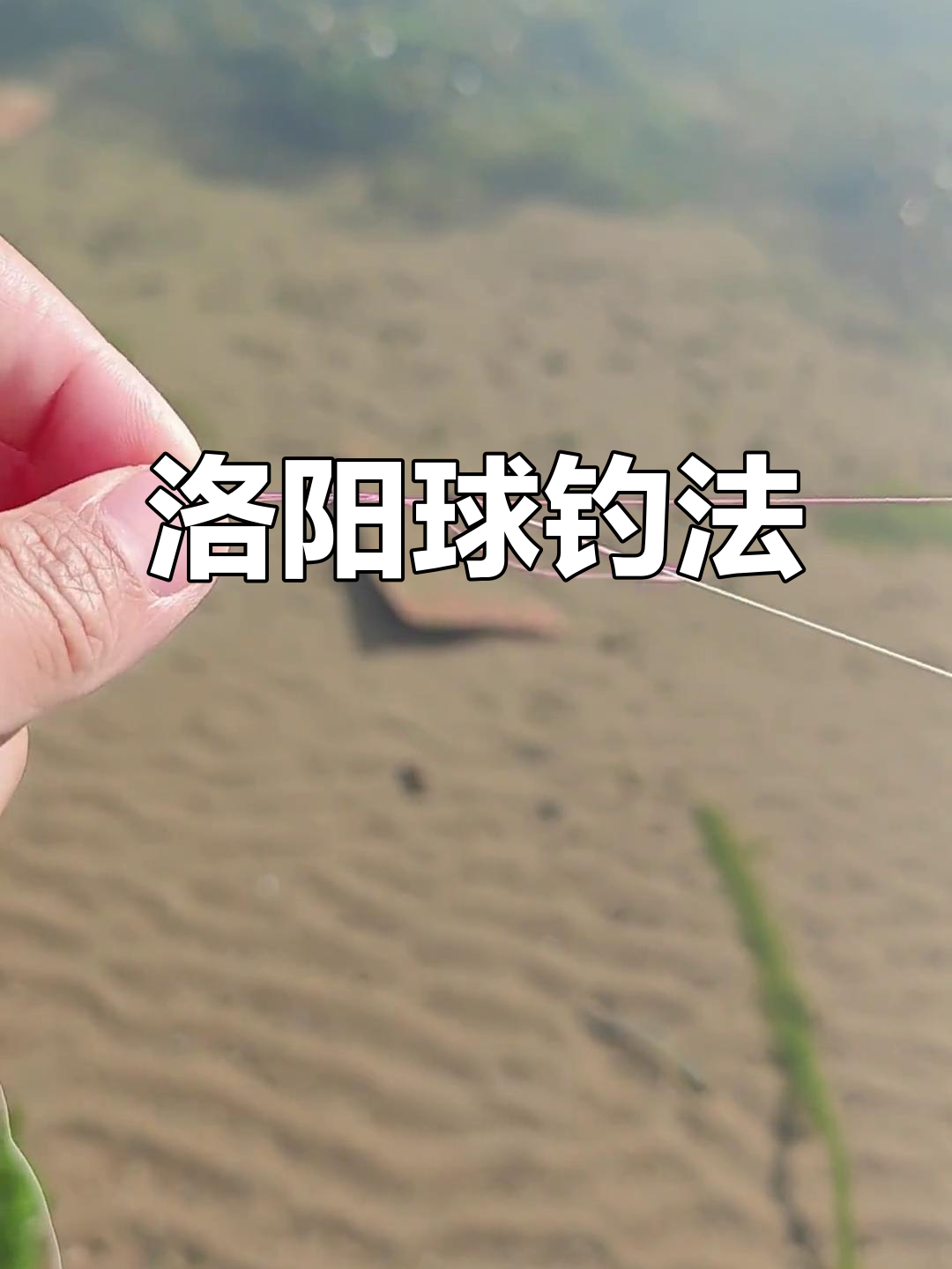 洛阳球线组钓草鱼技巧,轻松绑钩浮漂