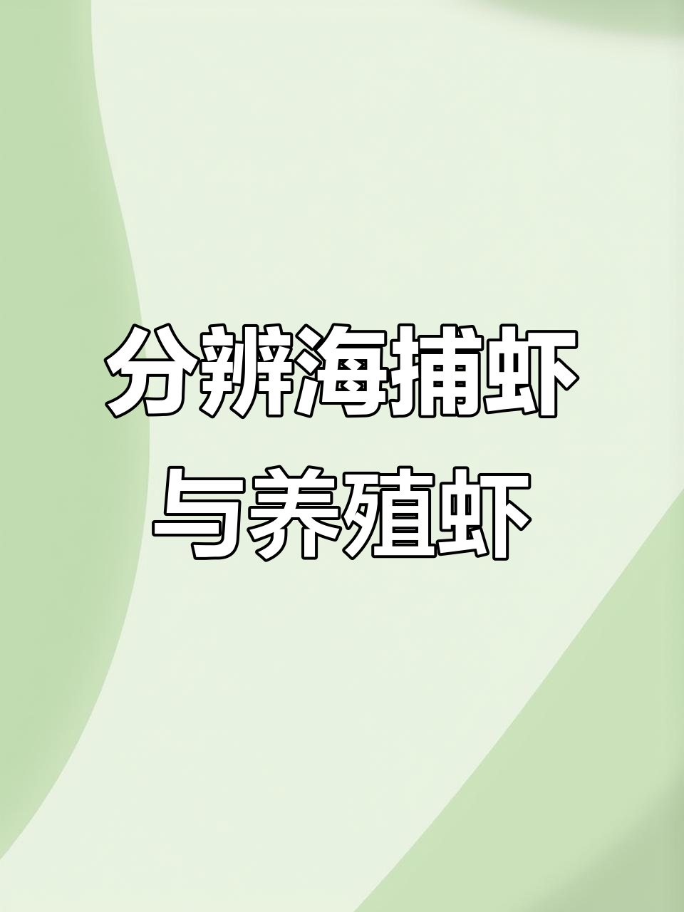 如何区分野生虾与养殖虾?看尾部色彩和个头大小