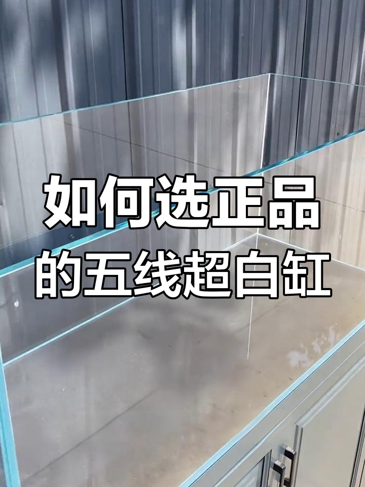 基晶五线超白缸辨别,如何选择正品鱼缸