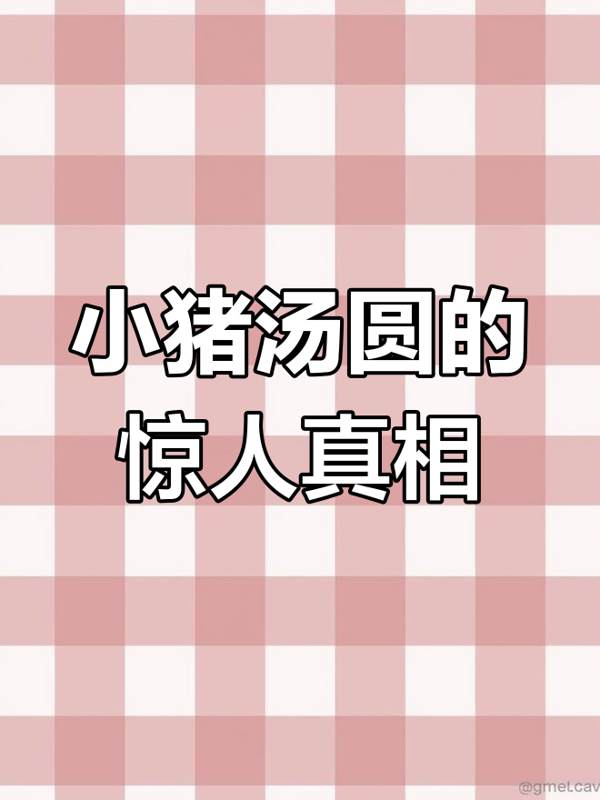 小猪吃汤圆背后的惊悚秘密,墙上的照片和门缝的诡异细节