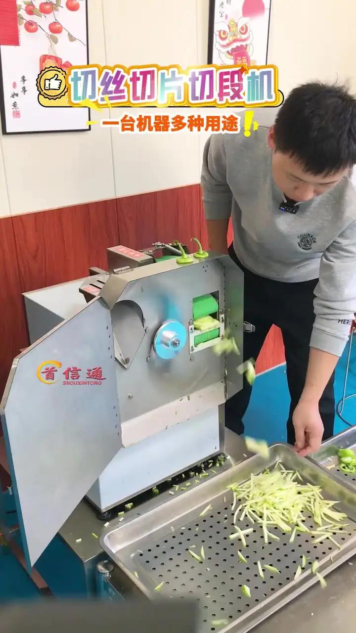 小型多功能切菜机切丝切片切丁切段 切菜机 小型切菜机