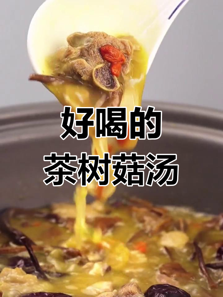 茶树菇汤的做法推荐