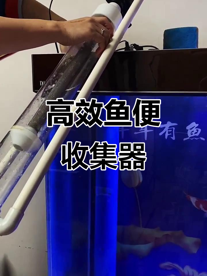 鱼缸粪便轻松清理,水泵吸盘设计超实用
