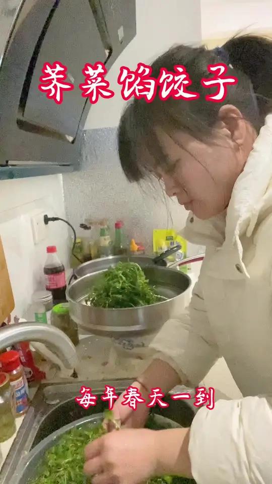 小时候,每到春天,妈妈总会包荠菜饺子,那是家的味道,也是记忆里最暖的春天,现在学着妈妈样子