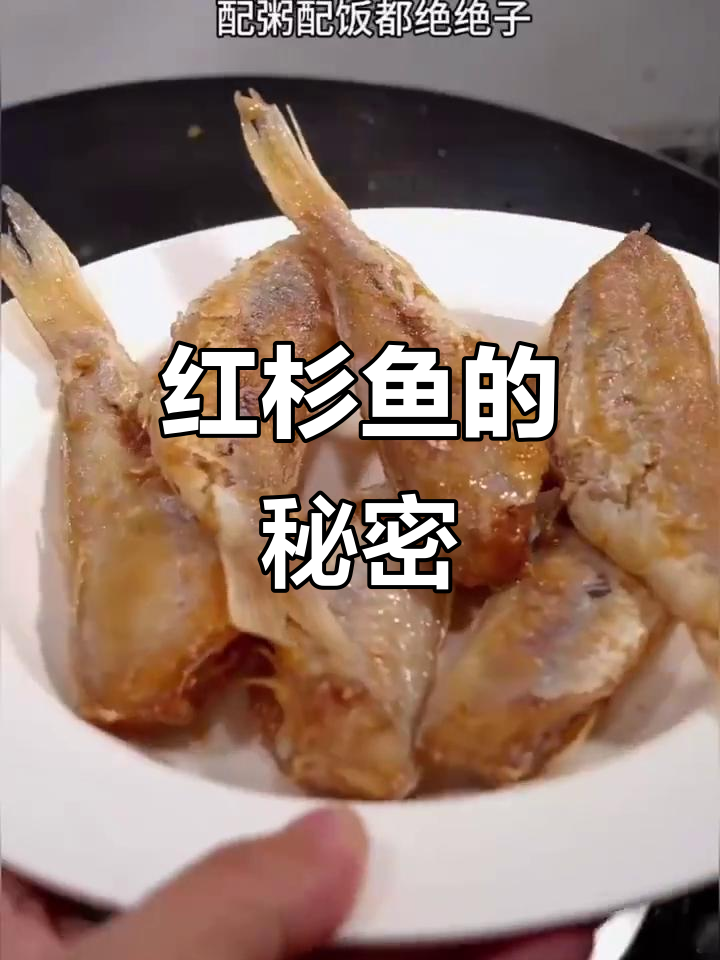 红杉鱼,广东美味经典,做法大揭秘!