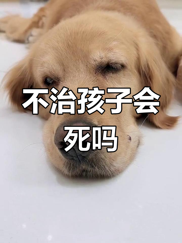 面对绝症,我们为何选择治疗?孩子的生命值得拼尽全力