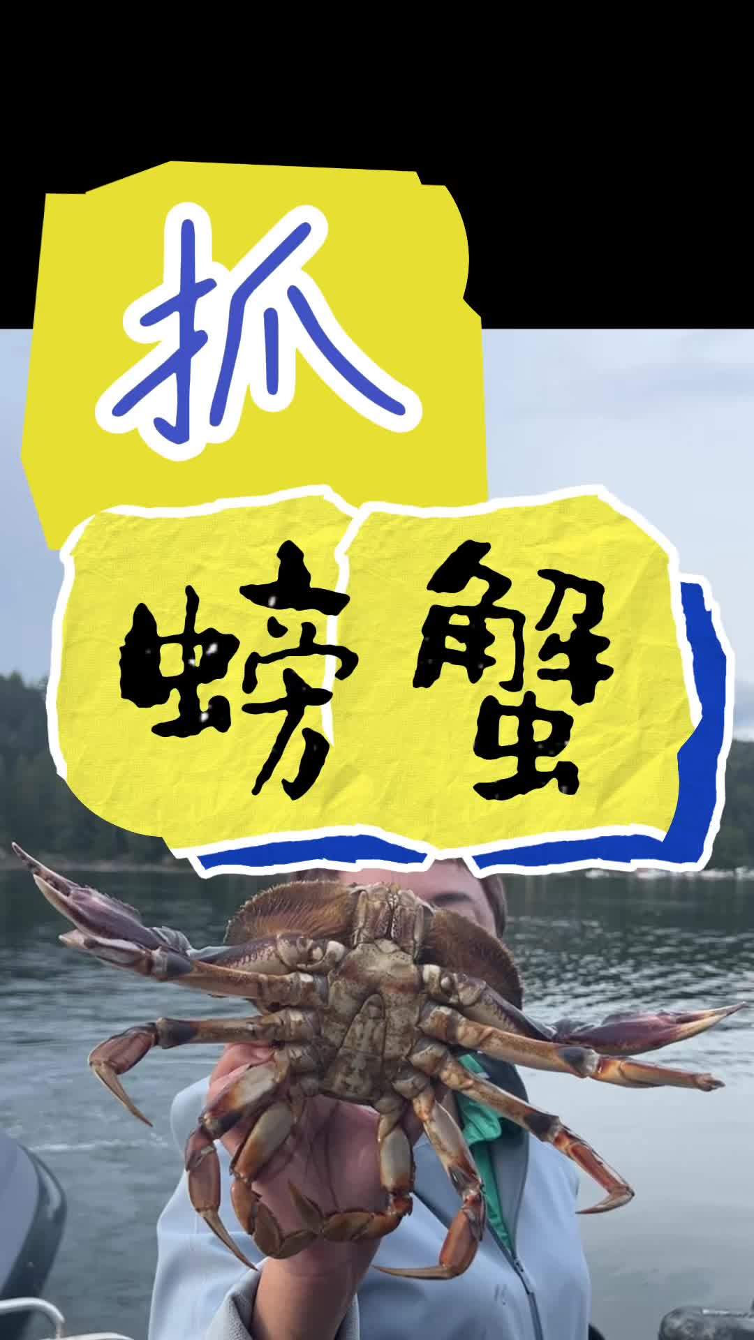 温哥华钓螃蟹 温哥华钓螃蟹,比钓金龟婿要求条件高多啦,不合格的,您得放它生,这和彩礼没关系