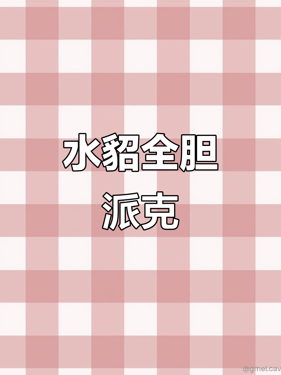 经典水貂派克大衣,360度保暖设计,商务休闲必备