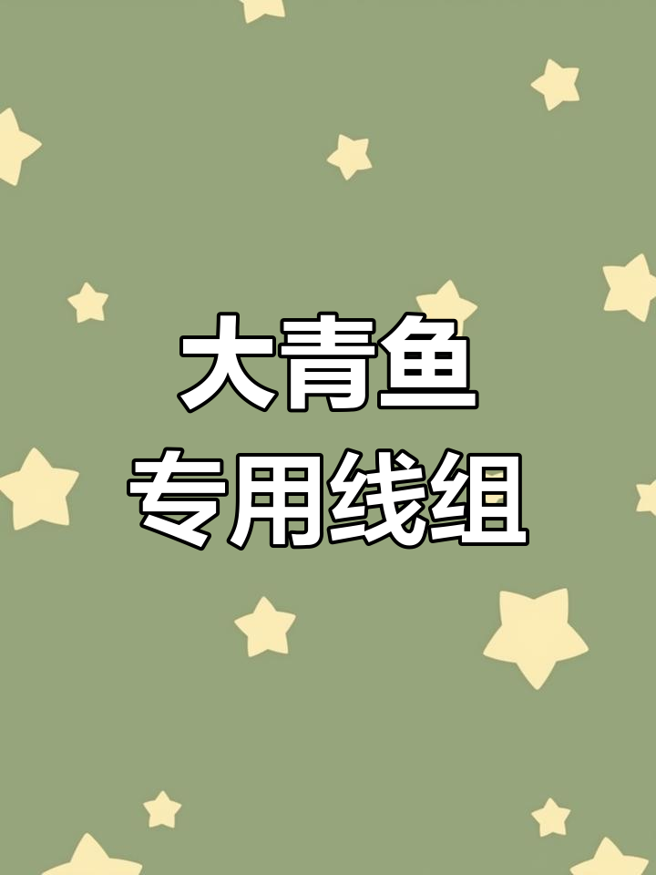 专为大青鱼设计,加固跑铅双钩线组,守巨物必备!