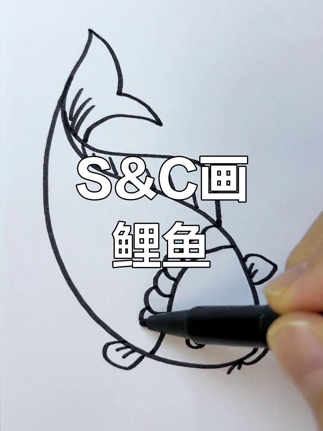 用S和C画鲤鱼,简单又可爱!