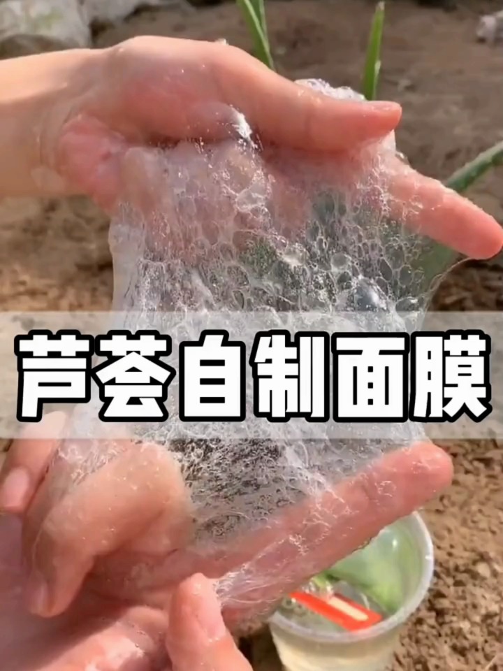芦荟自制面膜