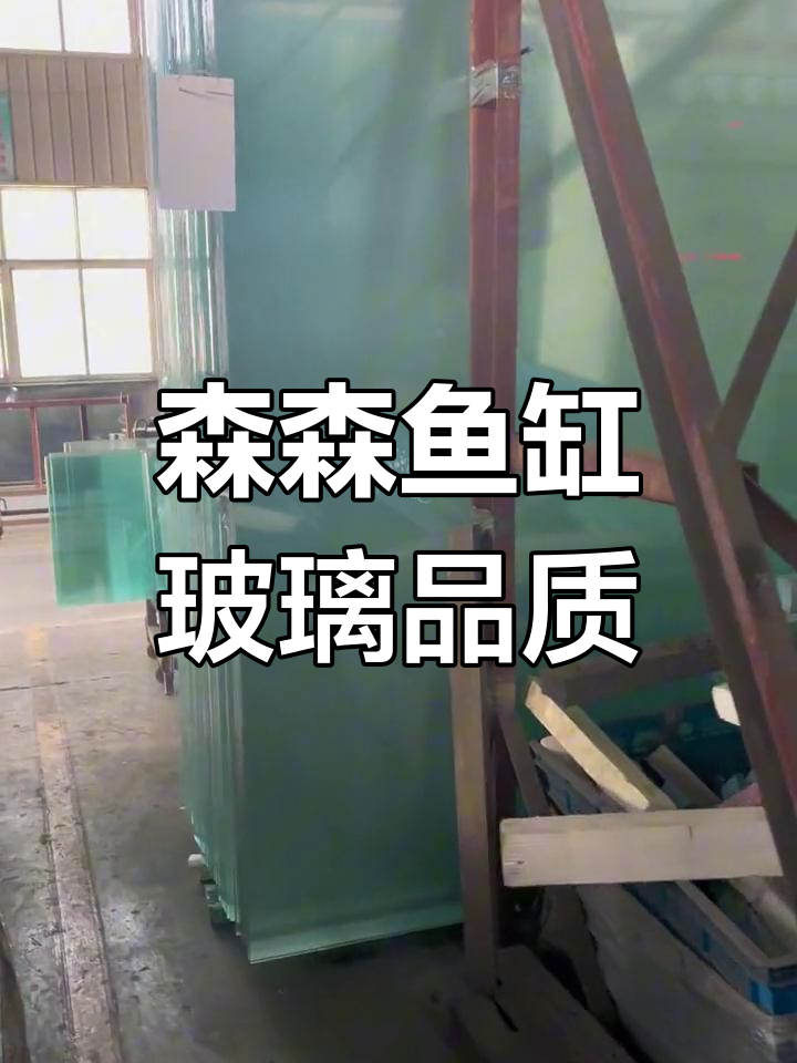 森森鱼缸玻璃质量揭秘,大厂流水线背后的真相