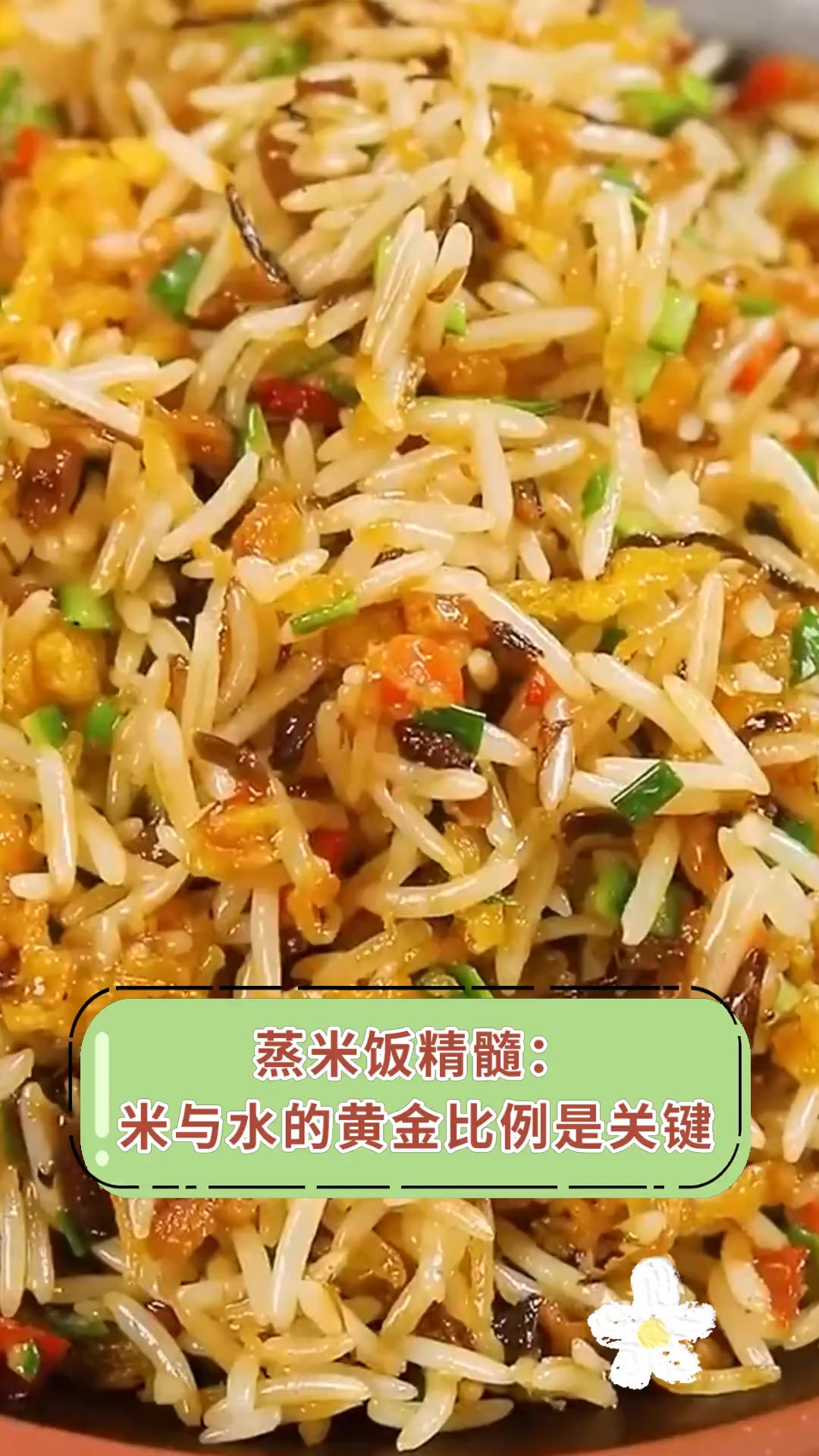 蒸米饭精髓:米与水的黄金比例是关键