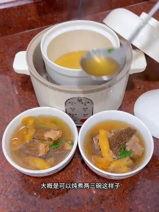 DK家用煮粥锅陶瓷电炖盅婴儿蒸炖辅食锅煲汤锅神器小型养生锅炖锅