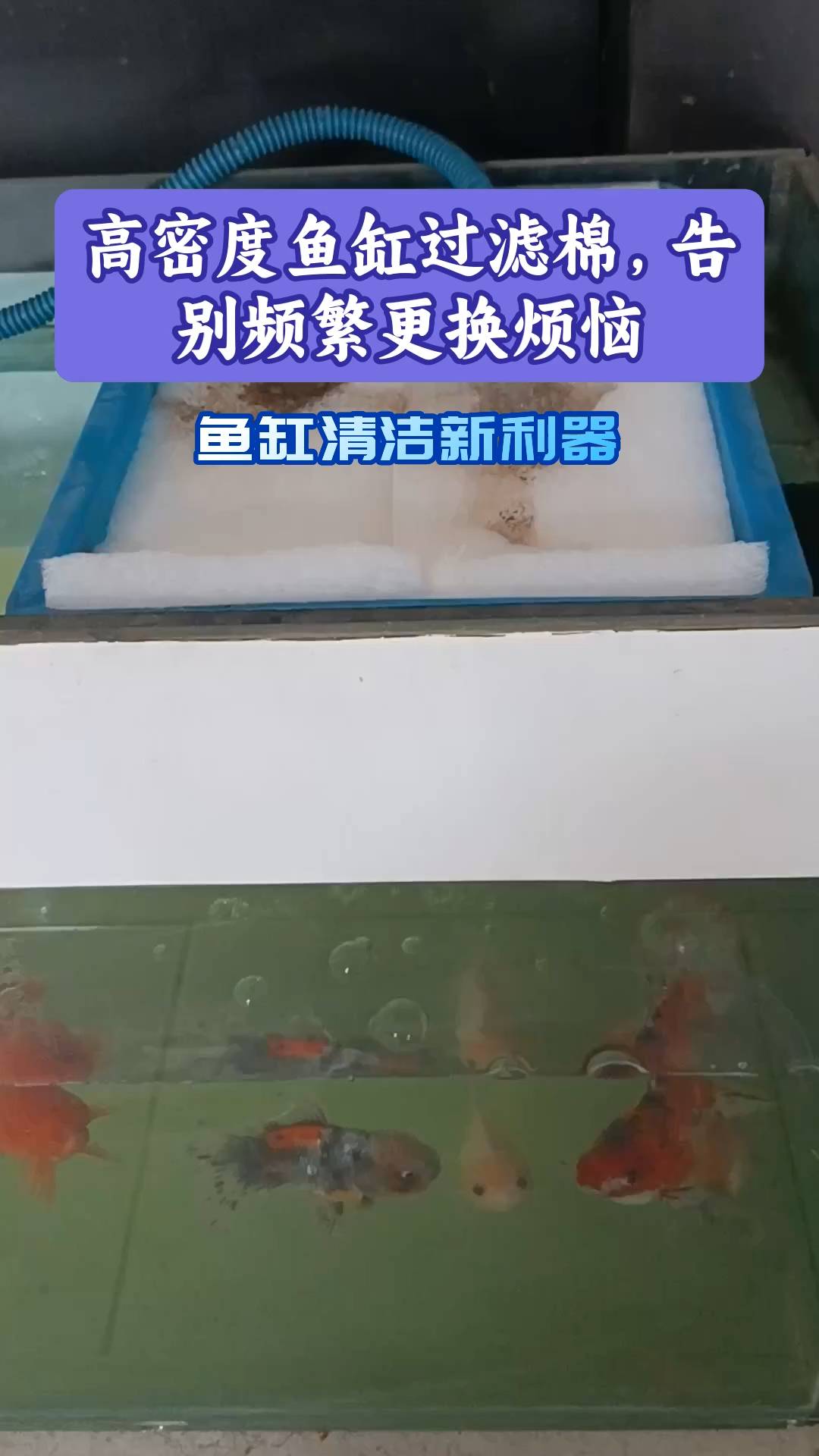 高密度鱼缸过滤棉告别频繁更换烦恼