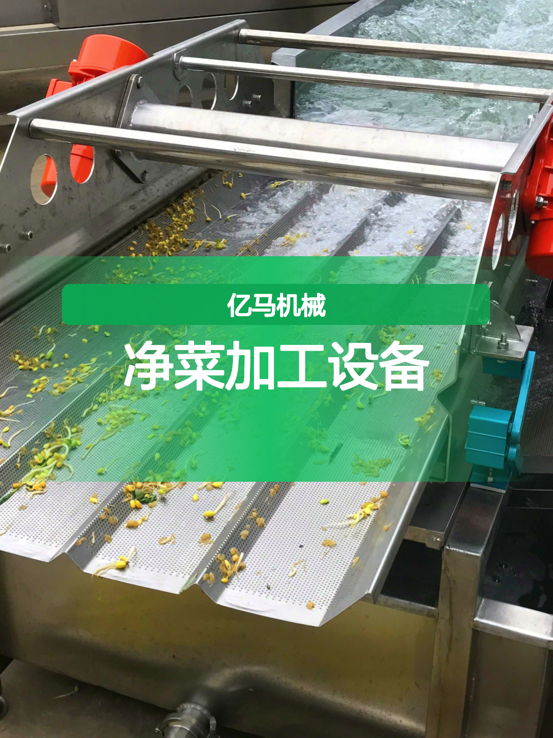 净菜加工设备8.5