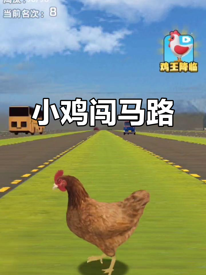 小鸡过马路,爸爸急寻!