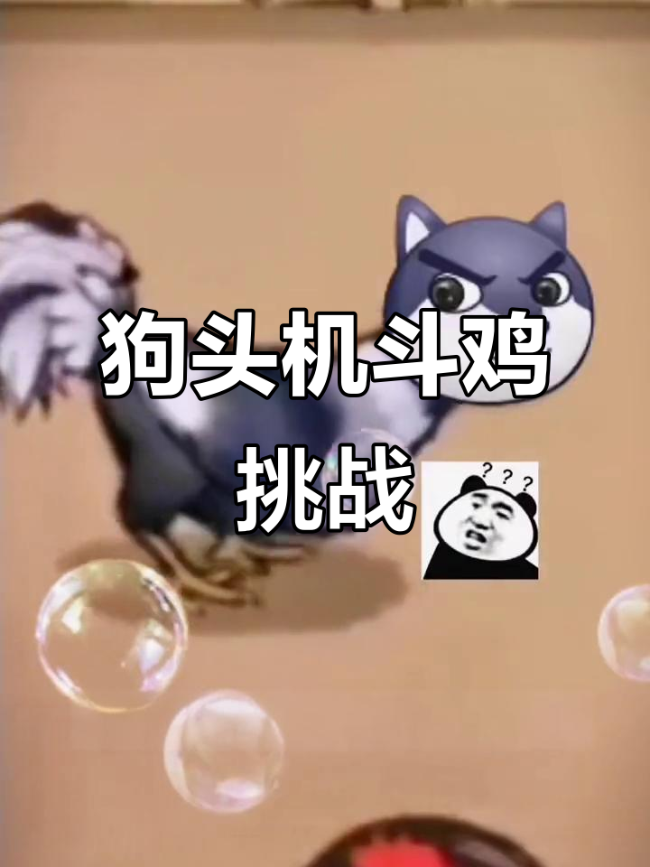 狗头鸡强势来袭,斗鸡场新玩法大揭秘