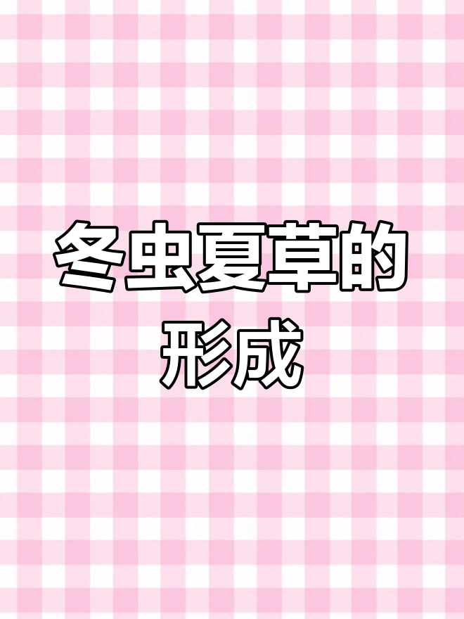 冬虫夏草是如何形成的?揭秘生长过程