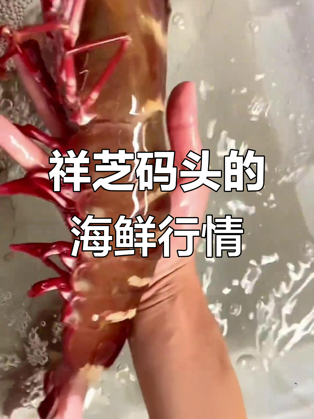 祥芝码头海鲜大揭秘：鬼虾、皮皮虾、土龙一应俱全