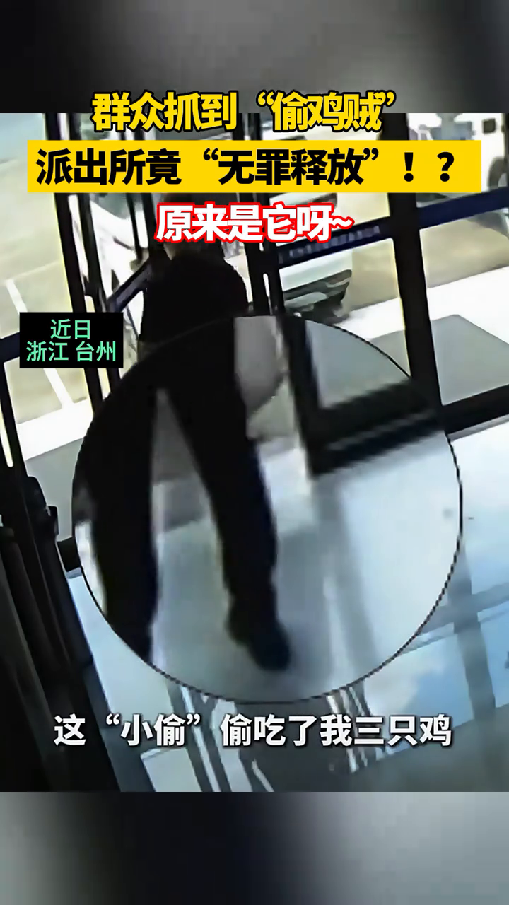 群众抓到“偷鸡贼”,派出所“无罪释放”