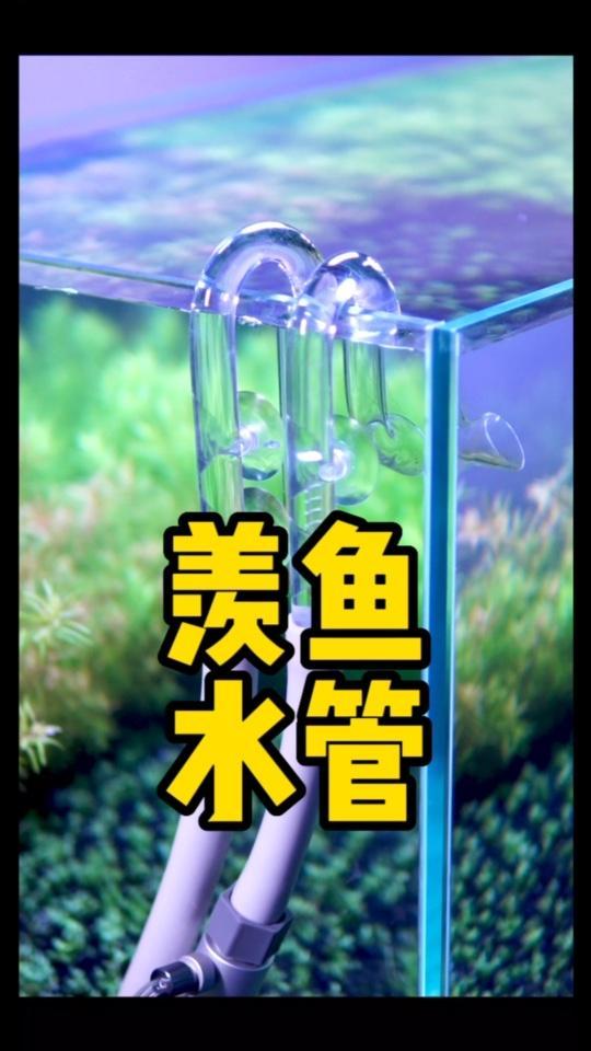 老实说,你的水管是不是该换了!水族 水草缸 养鱼