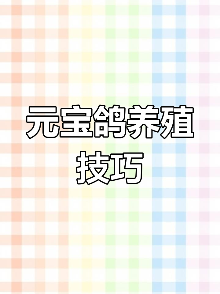 农村养殖元宝鸽,与鸡共处一院,轻松繁殖