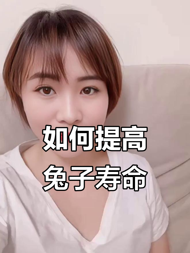兔子寿命能延长吗?如何科学喂养让兔兔更长寿