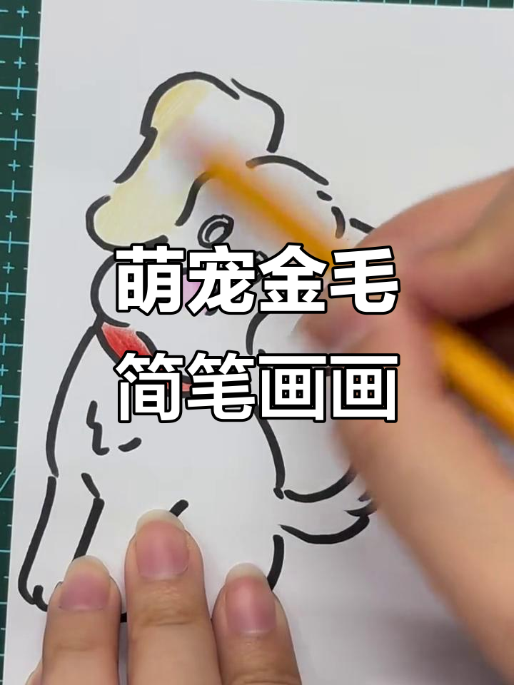 金毛犬简笔画挑战,画出温顺活泼的狗狗