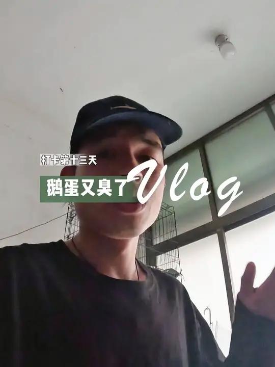 不断更打卡第十三天,鹅蛋又臭的不能吃