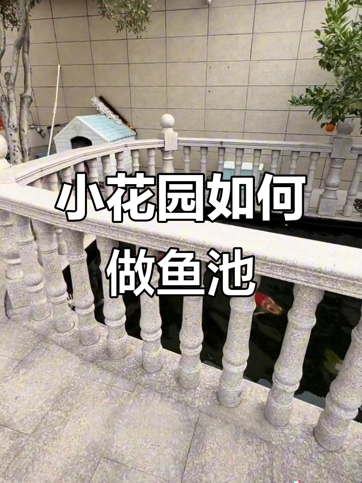 花园小，鱼池怎么做？设计要点全解析
