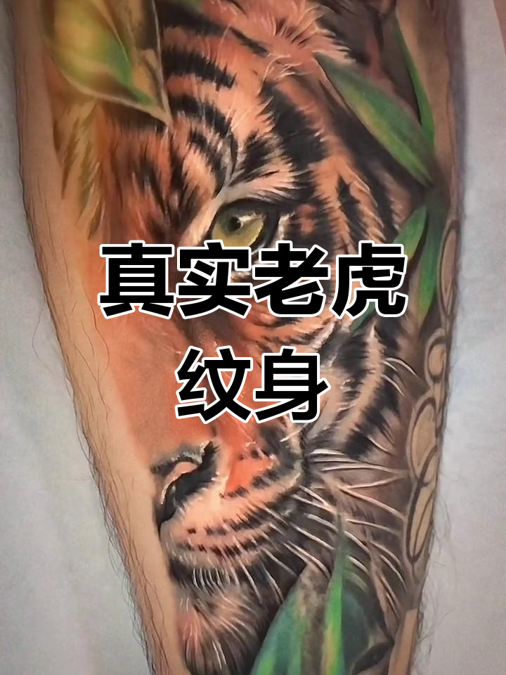 写实老虎纹身,满背艺术展现