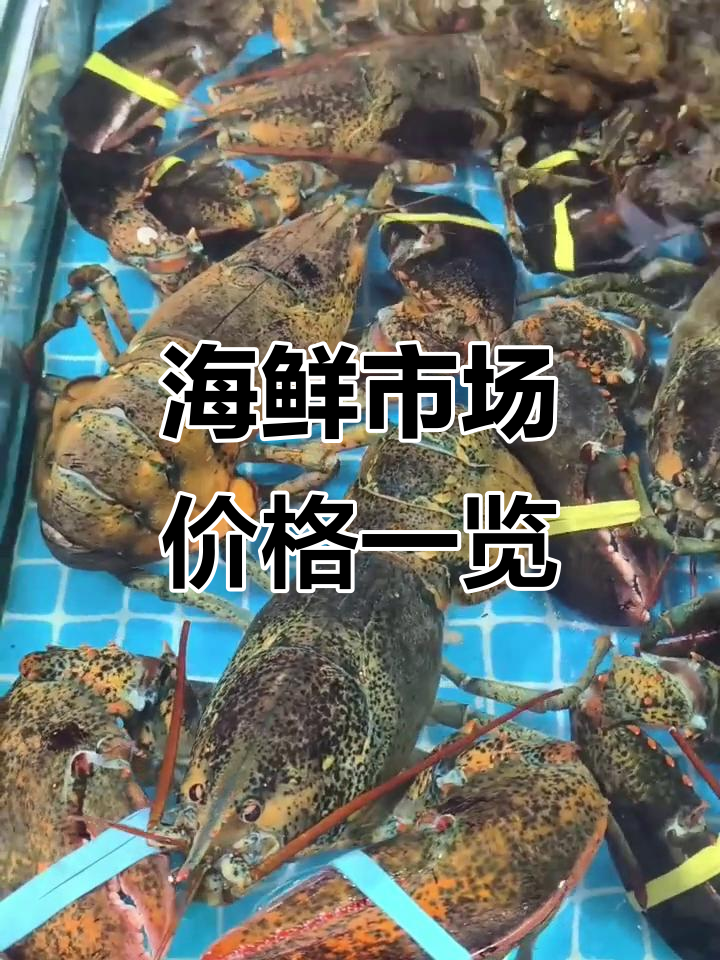 波士顿龙虾、帝王蟹大揭秘,海鲜市场全攻略