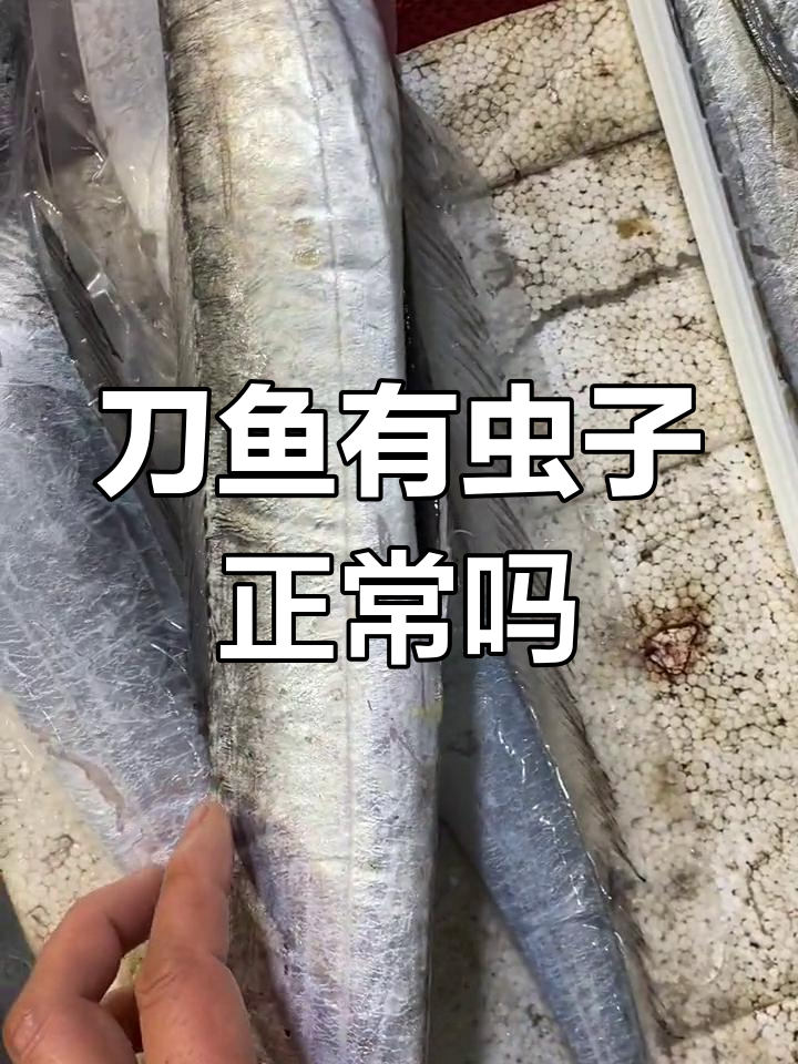 刀鱼肚子里的线虫,能吃吗?