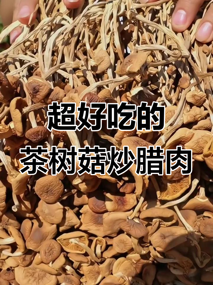 茶树菇炒腊肉,味道超赞!下饭必备