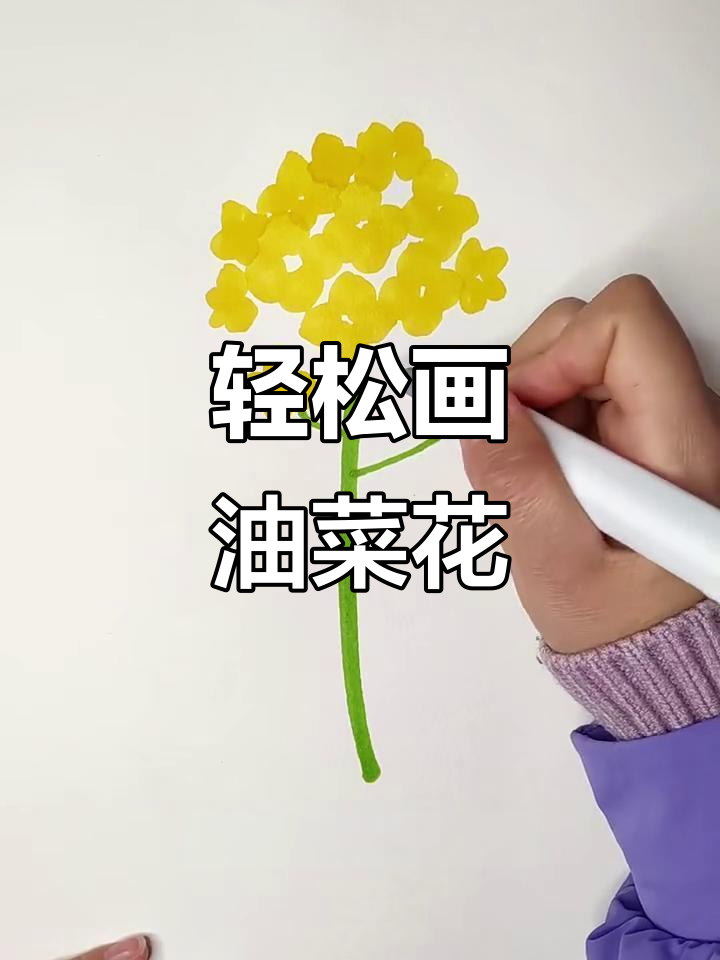 用马克笔画油菜花，简单又有趣！