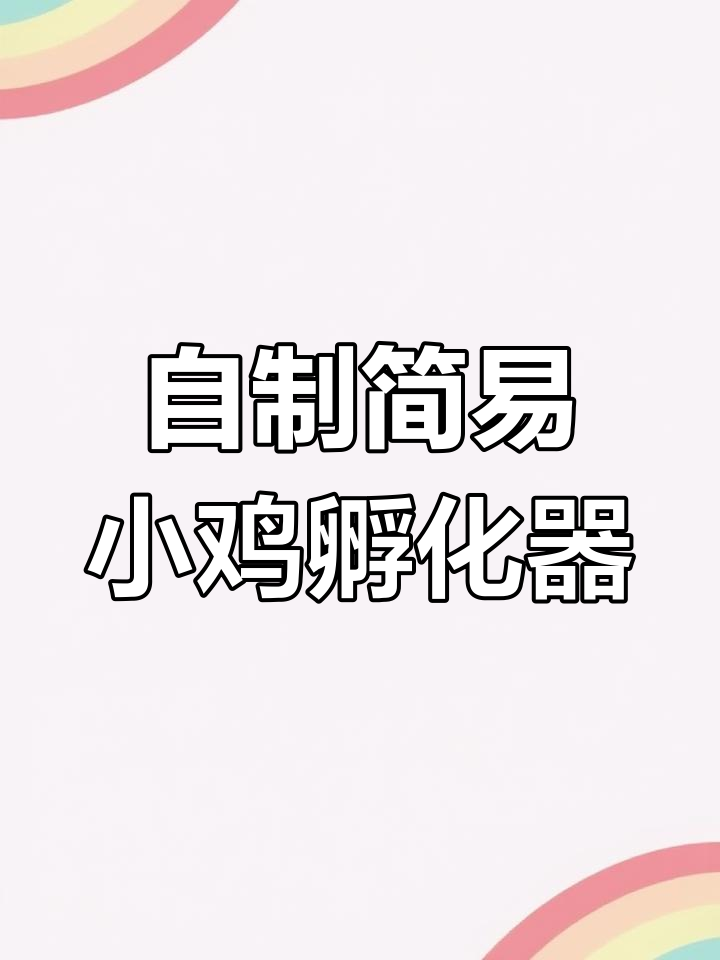 零成本DIY小鸡孵化器,简单又实用
