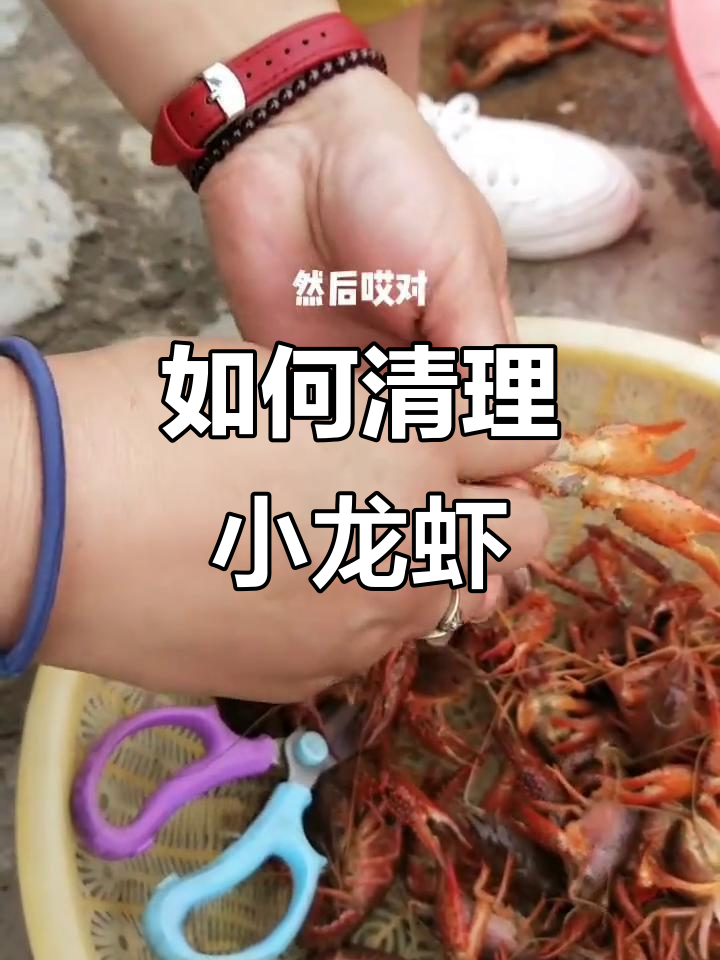 小龙虾清洗技巧大揭秘,轻松去腮和虾线