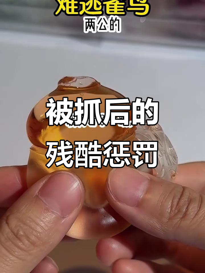 逃跑失败,裴之易的惩罚让我心惊胆战