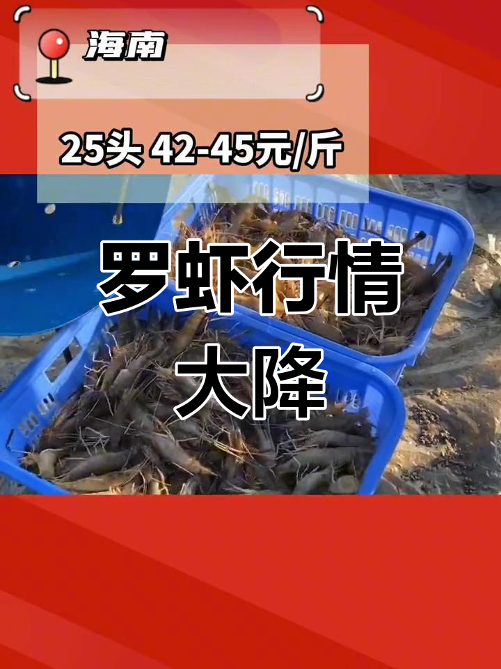 罗氏沼虾价格一周暴跌,养殖户注意市场变化
