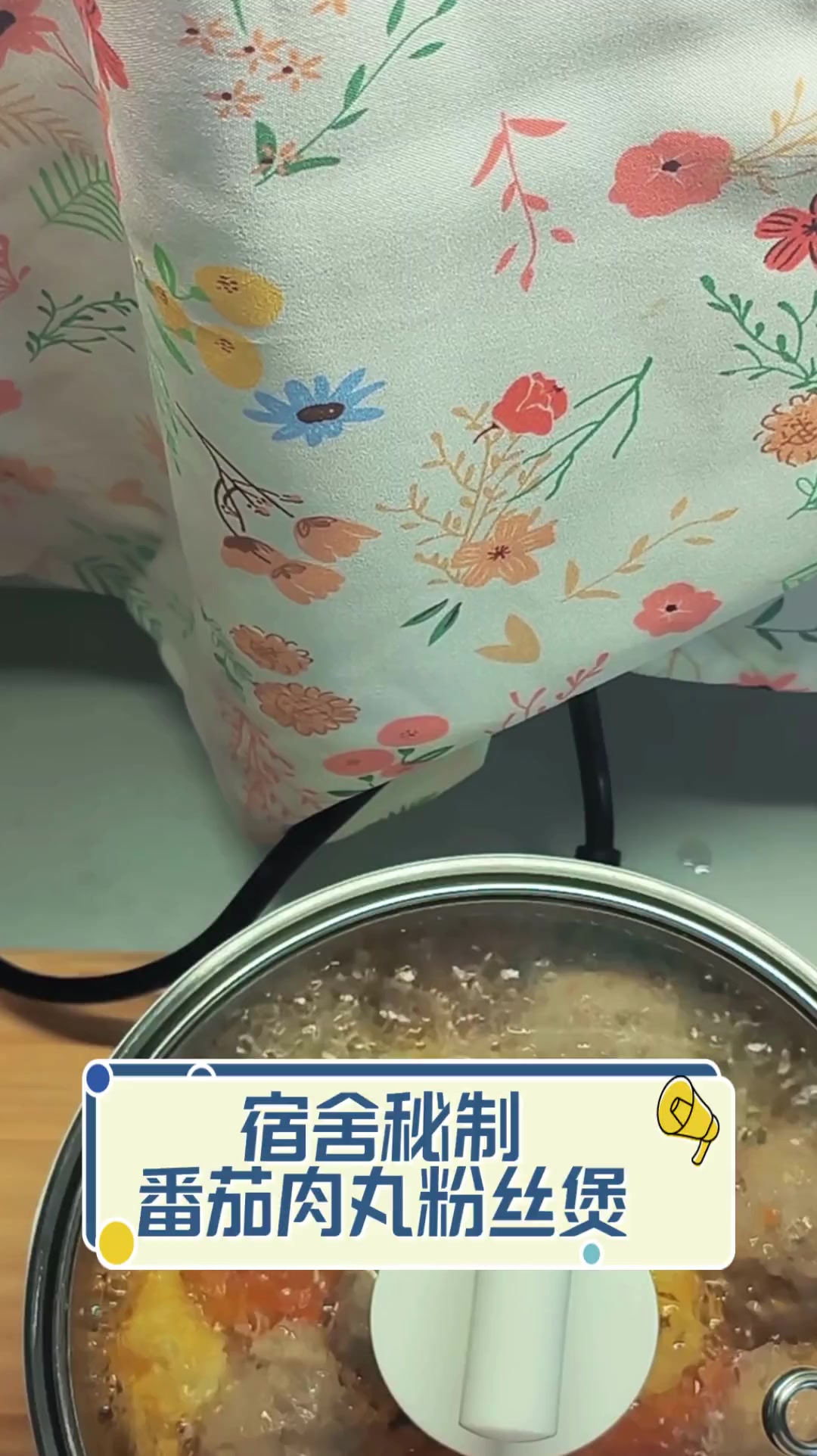宿舍秘制,番茄肉丸粉丝煲