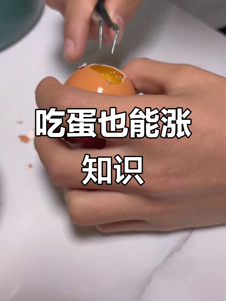 揭秘鸡蛋内部结构，原来是这样！