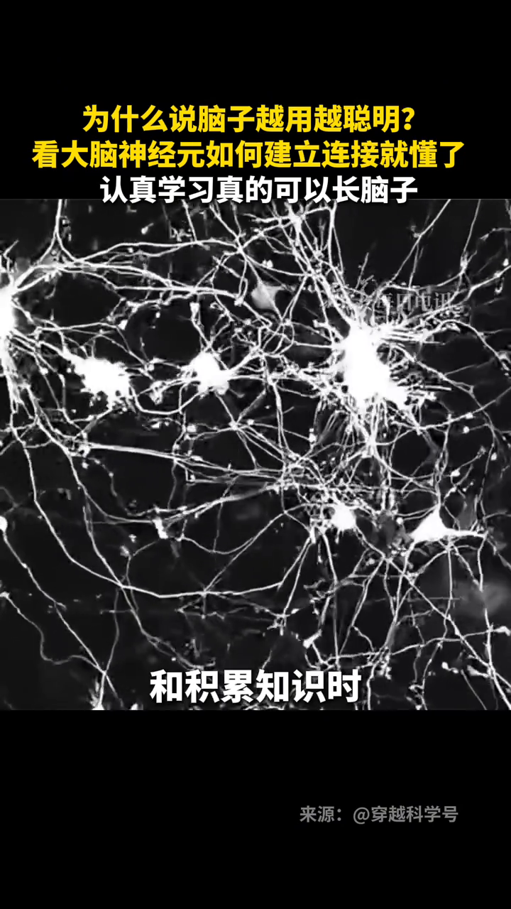 为什么说脑子越用越聪明?看大脑神经元如何建立连接就懂了