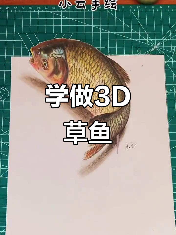 3D立体草鱼画,轻松学会!
