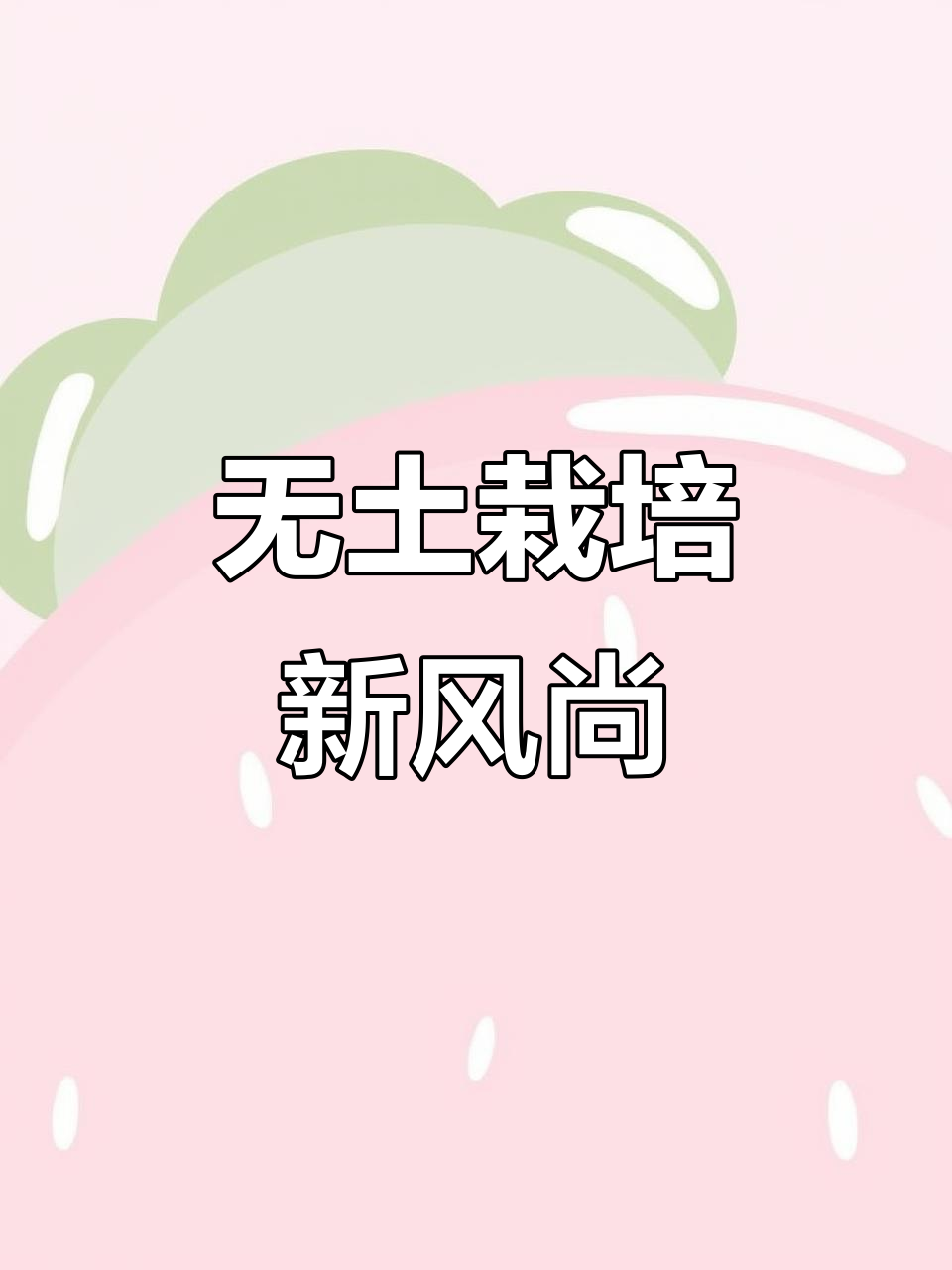 蔬菜无土栽培,展现现代农业的先进与魅力