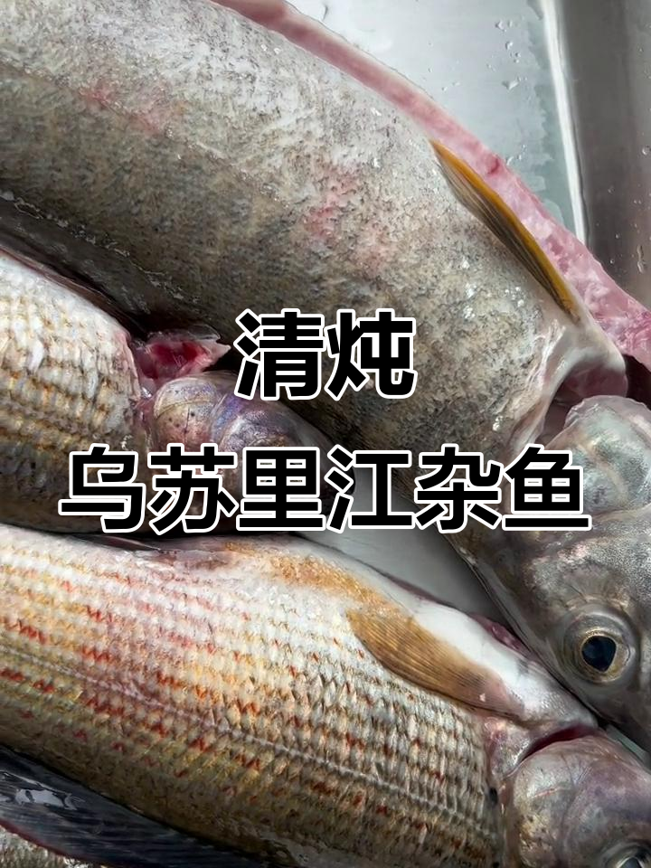 乌苏里江杂鱼炖汤,北极灰鱼与餐丁子完美搭配