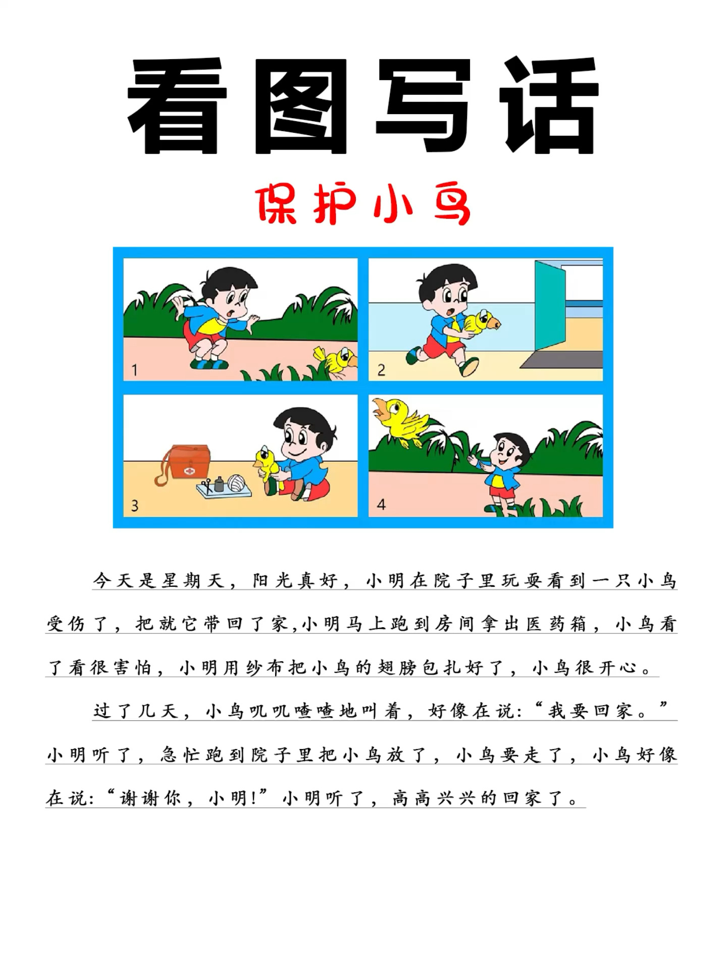 一二年级看图写话《保护小鸟》